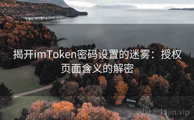 揭开imToken密码设置的迷雾：授权页面含义的解密