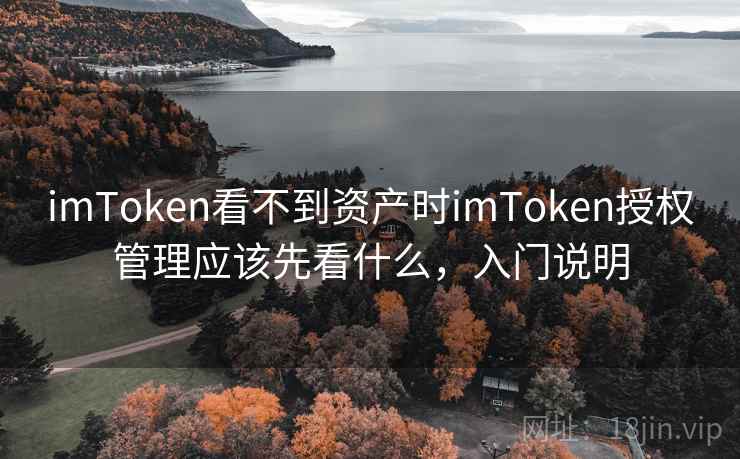 imToken看不到资产时imToken授权管理应该先看什么，入门说明